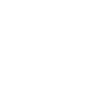 Attacking eagle in flight