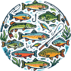 Fischkreis: Bunte Unterwasserwelt