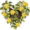 Cat heart made of lemons