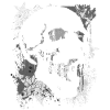 Skull in grunge splatter