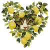 Cat hides in a lemon heart