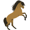 Rising Icelandic Horse Illustration