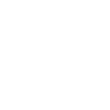 Digital Brain Intelligence