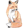 Kleiner Waldfuchs - ein sanfter Begleiter