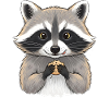 Cuddly raccoon with biscuit