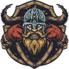 Viking Boxer MMA