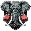 Elefant Boxer MMA