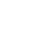 Animator