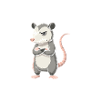 Lustiges Opossum Morgenmuffel: Nicht ansprechen!