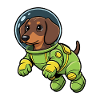 Dachshund Dog Astronaut Green Space