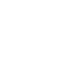 Kawaii Cat Windsurfing