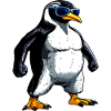 Pinguin Bodybuilder