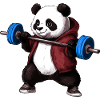 Panda with barbell