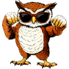Fitness Owls