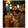 Chihuahua Night Gloss Coffee