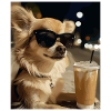 Sunglasses dog with iced coffee