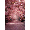 Cherry Blossom Arch Path
