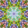 Kaleidoscope Flower Mandala