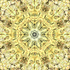 Kaleidoscopic Yellow-Green Mandala