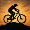 Sunset Mountain Bike Silhouette