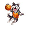 Husky Dog Giocatore di basket Sport Basket