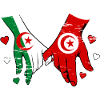 Algeria Tunisia Flag Holding Hands