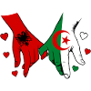 Albania Algeria Flag Holding Hands