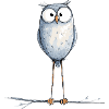 Cute Owl