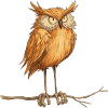 mysterious owl