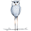 Cute Owl