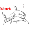 Shark