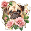 Mops mit Rosen