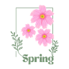 Spring Blumen Design Rosa