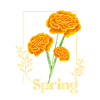 Spring Blumen Orange