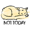 Katze Not Today