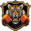 Tiger Boxer MMA