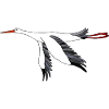 Cigogne