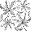 leaves