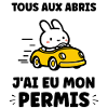 Humour j'ai mon permis de conduire