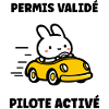 Humour j'ai mon permis de conduire