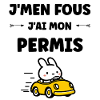 Humour j'ai mon permis de conduire
