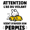 Humour j'ai mon permis de conduire