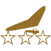 Insigne Deltaplane Or et Étoiles