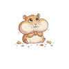 Funny hamster: intermittent fasting between snacks