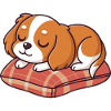 Sleeper Puppy on Plaid Cushion