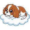 Dreamy Rider Puppy on a Cloud