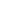 White-tailed eagle
