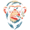 Sunglasses Smoking Monkey