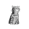 Bad Decisions – Good Confidence Cat