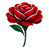 Red Rose Deep Red Blossoms